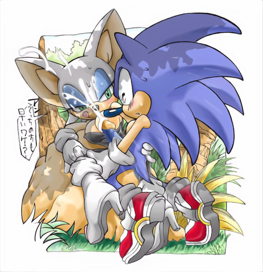 breasts cum erosuke furry looking_back penis rouge_the_bat sex sonic sonic_the_hedgehog sweat text