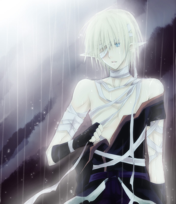 takamura ryou, assassin (ragnarok online), ragnarok online, commentary