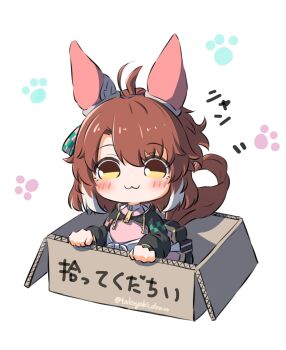  1girl :3 ahoge animal_ears black_shrug blush bow box breasts brown_eyes brown_hair cardboard cardboard_box checkered_ribbon closed_mouth dantsu_flame_(center_spotlight)_(umamusume) dantsu_flame_(umamusume) ear_covers ear_ribbon for_adoption hair_between_eyes highres horse_ears horse_girl horse_tail in_box in_container looking_at_viewer multicolored_hair paw_print shirt shrug_(clothing) smile solo tail takoyaki_(takoyaki_draw) tied_shirt umamusume white_hair 