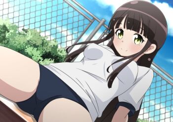  1girl blue_buruma blue_sky blush breasts brown_hair buruma chain-link_fence cloud cloudy_sky fence gochuumon_wa_usagi_desu_ka? green_eyes gym_shirt gym_uniform long_hair looking_at_viewer naruse_mai outdoors shirt short_sleeves sitting sky smile solo ujimatsu_chiya white_shirt 