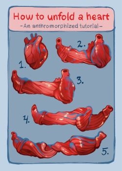  anatomy blue_background derivative_work english_text feefal guro heart_(organ) highres how_to no_humans numbered original simple_background veins 