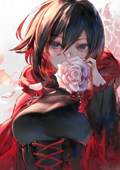  1girl backlighting black_hair breasts cape commentary corset cross english_commentary female_focus flower gradient_hair grey_eyes hair_between_eyes izumi_sai long_sleeves looking_at_viewer medium_breasts multicolored_hair petals red_cape red_hair rose rose_petals ruby_rose rwby short_hair solo two-tone_hair upper_body  rating:Sensitive score:29 user:danbooru