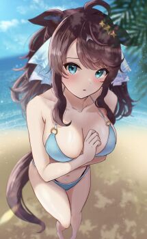  1girl ahoge alternate_costume animal_ears beach bikini blue_bikini blue_eyes blue_sky blush breasts brown_hair brown_tail cleavage colored_inner_animal_ears commentary_request daring_tact_(umamusume) day hair_ornament halterneck highres horse_ears horse_tail kaniitama leaf looking_at_viewer o-ring o-ring_bikini o-ring_bottom o-ring_top ocean ponytail signature sky solo swimsuit tail thighs umamusume 