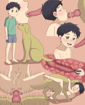 1boy animal animal_penis ass barefoot bestiality black_hair blush closed_eyes completely_nude cum cum_in_ass cum_in_mouth dog dog_penis feet fellatio full_body green_eyes green_shirt highres interspecies knotted_penis lawis11 male_focus multiple_views nude oral original penis sex sex_from_behind shirt shorts shota size_difference tail uncensored x-ray yaoi rating:Explicit score:410 user:Gus_shota