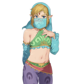  1boy androgynous blue_eyes blue_veil brown_hair collarbone commentary_request crossdressing crossdressing_(mtf) foxvulpine gerudo_set_(zelda) link looking_at_viewer male_focus mouth_veil navel nintendo pants pointy_ears purple_pants simple_background solo the_legend_of_zelda the_legend_of_zelda:_breath_of_the_wild toned toned_male trap veil 