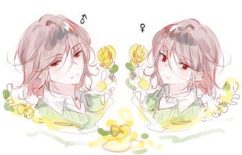 1boy 1girl androgynous bishounen brown_hair chara_(undertale) closed_mouth collared_shirt commentary double_other_genderswap expressionless flower genderswap genderswap_(otf) genderswap_(otm) green_sweater hair_between_eyes kaeh_12 korean_commentary light_blush mars_symbol open_collar portrait red_eyes shirt short_hair sketch sweater undertale upper_body utdr_(toby_fox) venus_symbol white_shirt yellow_flower