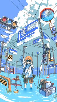  1boy binoculars bird building check_commentary cloud commentary_request crt dilapidated duck fantasy flood highres isometric looking_at_viewer male_focus original partially_immersed post-apocalypse power_lines radio road_sign rokuban_(6thavenue) scenery science_fiction sign summer traffic_light utility_pole vending_machine water what 