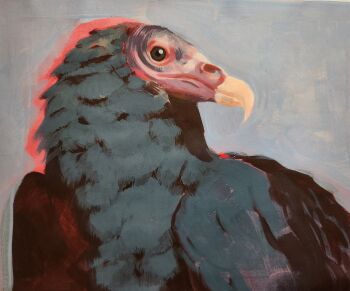  animal animal_focus bird h0lycr0w highres no_humans original unfinished vulture 