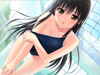 1girl bishoujo_(game) black_hair blush brown_eyes clothes_pull competition_school_swimsuit game_cg long_hair nonohara_miki one-piece_swimsuit one-piece_swimsuit_pull open_mouth school_swimsuit solo swimsuit tachibana_kyouka_(bishoujo) wet yellow_eyes 