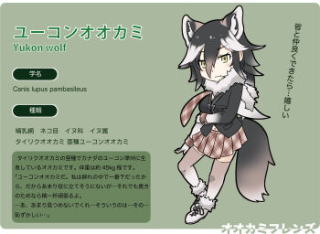  1girl absurdres animal_ear_fluff animal_ears aranagi_(arng_4401) arm_across_waist black_hair blush_stickers border breasts brown_hair brown_skirt brown_thighhighs character_name chibi cleavage closed_mouth commentary_request dot_nose extra_ears eyes_visible_through_hair fluffy_collar full_body gradient_thighhighs green_background green_eyes highres jitome kemono_friends large_breasts looking_at_viewer multicolored_ears multicolored_hair multicolored_tail necktie official_style original plaid_clothes plaid_necktie plaid_skirt pleated_skirt shoelaces shoes skirt solo tail thighhighs translation_request wavy_mouth white_border white_hair white_shoes white_thighhighs wolf_ears wolf_girl wolf_tail yellow_eyes yoshizaki_mine_(style) yukon_wolf_(kemono_friends)_(aranagi_(arng_4401)) zettai_ryouiki 