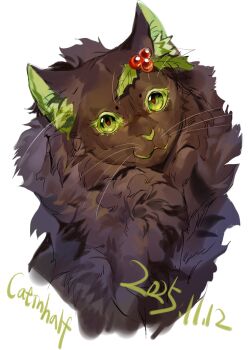  animal animal_focus black_cat cat chinese_commentary commentary_request cropped_shoulders dated fluffy green_eyes hair_ornament highres holly holly_hair_ornament hollyleaf leaf looking_at_viewer miaolegedianmiddot808 no_humans power_of_three red_pupils signature solo warrior_cats whiskers 