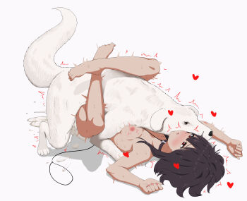 1girl ^^^ absurdres animal barefoot bestiality blush breasts brown_hair collar commentary_request completely_nude cum cum_in_pussy cum_on_floor dog drakente drooling ejaculation feet fingernails full_body half-closed_eyes heart hetero highres kono_subarashii_sekai_ni_shukufuku_wo! leash leg_lock loli lying megumin nipples nude on_back open_mouth pink_nails red_eyes sex shadow short_hair short_hair_with_long_locks simple_background small_breasts sweat toes vaginal white_background rating:Explicit score:559 user:danbooru
