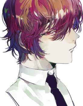  1girl androgynous black_necktie collared_shirt commentary dress_shirt flat_chest half-closed_eyes highres looking_at_viewer necktie painterly portrait profile red_eyes red_hair reverse_trap sanglom sanyati_(star_fetchers) shirt short_hair sideways_glance solo star_fetchers untranslatable_commentary white_background white_shirt 