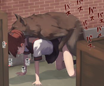 1girl all_fours bestiality black_sailor_collar black_skirt blush brown_hair clothed_sex dog doggystyle hair_ribbon hetero kantai_collection medium_hair miniskirt pleated_skirt ponytail ribbon sailor_collar school_uniform serafuku sex sex_from_behind shikinami_(kancolle) shikinami_kai_ni_(kancolle) short_sleeves skirt speech_bubble tsurugi_(the_horizon) rating:Explicit score:686 user:danbooru