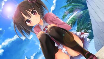  1girl beach black_bow black_hair black_thighhighs blush bow cameltoe cloud crotch_seam double_bun fence food_print footwear_bow fruit_print game_cg hair_bow hair_bun hands_on_own_knees hoshikoi_tinkle jacket korie_riko lens_flare loli long_sleeves looking_at_viewer narusegawa_nagi open_clothes open_jacket palm_tree panties pink_eyes pink_jacket print_panties purple_bow purple_shoes sand scrunchie shirt shoes short_hair sky smile squatting strawberry_panties strawberry_print sun thighhighs tree twintails underwear white_panties white_shirt wooden_fence 