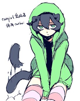  1boy animal_ears cat_boy cat_ears cat_tail chinese_commentary chinese_text commentary_request girly_boy green_eyes green_hoodie grey_hair hair_between_eyes highres hood hood_up hoodie jitome kemonomimi_mode long_sleeves looking_at_viewer male_focus open_clothes open_hoodie pink_thighhighs poodle_(lofter_1389564) short_hair simple_background sitting sketch solo striped_clothes striped_thighhighs tail tail_wagging thighhighs translation_request turtle_shell vedal987 vedal_ai virtual_youtuber white_background 