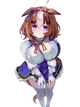  1girl @_@ absurdres animal_ears bag between_breasts blue_skirt blush bow breasts brown_hair brown_tail center_frills commentary_request ear_ribbon foreshortening frills gloves hair_between_eyes hairband highres horse_ears horse_girl horse_tail large_breasts looking_at_viewer meisho_doto_(turbulent_blue)_(umamusume) meisho_doto_(umamusume) multicolored_hair open_mouth pink_hairband purple_eyes shirt short_hair shoulder_bag simple_background skirt solo strap_between_breasts streaked_hair tail thighhighs thighs umainu_2002 umamusume white_background white_gloves white_hair white_shirt white_streaks white_thighhighs 