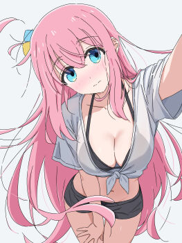  1girl absurdres bikini black_bikini black_shorts blue_eyes blush bocchi_the_rock! breasts choppy_bangs cleavage closed_mouth commentary_request cowboy_shot crossed_bangs cube_hair_ornament gotoh_hitori hair_ornament hand_on_own_thigh highres large_breasts long_hair micro_shorts navel nose_blush pink_hair see-through_clothes see-through_shirt selfie shirt short_sleeves shorts simple_background solo split_mouth standing stomach sweat swimsuit thigh_gap tied_shirt very_long_hair white_background white_shirt xiaox096  rating:Sensitive score:17 user:danbooru
