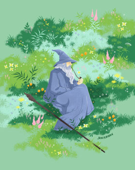 1boy artist_name beard commentary facial_hair field flower flower_field gandalf grass green_theme grey_beard grey_hair grey_robe hat janikainen long_beard long_hair long_sleeves mage_staff male_focus old old_man on_ground outdoors robe sitting smoking_pipe solo staff summer the_lord_of_the_rings tolkien's_legendarium wizard wizard_hat