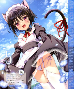  1girl 2026 :d absurdres animal_ears artist_name black_dress black_hair blue_flower blue_petals blue_sky blush breasts calendar_(medium) cameltoe cat_ears cat_girl cat_tail choppy_bangs cloud cloudy_sky collarbone covered_erect_nipples cowboy_shot day dengeki_moeoh detached_collar dress dutch_angle falling_petals flower garter_belt groin hair_between_eyes hair_ornament hairpin highres juliet_sleeves long_dress long_sleeves looking_at_viewer magazine_scan maid maid_headdress multiple_hairpins neck_ribbon open_mouth original outdoors panties pantyshot petals puffy_sleeves red_eyes red_ribbon ribbon scan short_hair side-tie_panties skirt_hold sky sleeves_past_fingers sleeves_past_wrists small_breasts smile solo string_panties sunlight tail tail_ornament tail_ribbon thighhighs third-party_source translation_request underwear upskirt white_garter_belt white_panties white_thighhighs 