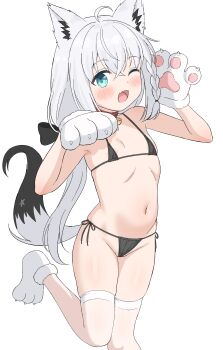  1girl absurdres ahoge animal_ears animal_hands bell belt_collar bikini black_bikini blue_eyes blush collar fang female_focus flat_chest fox_ears fox_girl fox_tail gloves highres hololive jingle_bell loli long_hair micro_bikini navel neck_bell norigure18 one_eye_closed open_mouth paw_gloves paw_shoes red_collar shirakami_fubuki shoes side-tie_bikini_bottom simple_background skin_fang solo string_bikini swimsuit tail thighhighs virtual_youtuber white_background white_hair white_thighhighs 