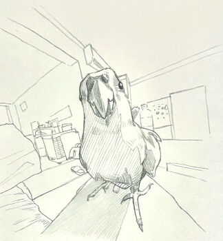  absurdres animal_focus beak bird bottle carrot chinese_commentary commentary_request graphite_(medium) greyscale hatching_(texture) highres indoors linear_hatching looking_at_viewer monochrome no_humans original shenlansedunqie traditional_media 