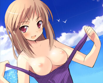 1girl beach bird blonde_hair blush breasts brown_hair cloud day dutch_angle fang female_focus long_hair medium_breasts nipples ocean one-piece_swimsuit open_mouth original outdoors pink_eyes purple_one-piece_swimsuit purple_school_swimsuit red_eyes school_swimsuit sikorsky sky smile solo strap_slip swimsuit undressing water rating:Questionable score:31 user:danbooru