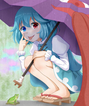  1girl :p blue_eyes blue_hair blue_skirt blue_vest commentary_request duplicate frilled_sleeves frills frog geta heterochromia highres holding holding_umbrella juliet_sleeves kisaragi_koushi long_sleeves pixel-perfect_duplicate puffy_sleeves purple_umbrella rain red_eyes shirt short_hair skirt solo squatting tatara_kogasa toenails toes tongue tongue_out touhou umbrella vest white_shirt 