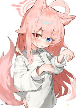  1girl absurdres ahoge alternate_costume animal_ear_fluff animal_ears blue_archive blue_eyes blush buttons cheeckae claw_pose collared_shirt commentary cowboy_shot crossed_bangs fox_ears fox_tail hair_between_eyes hair_ear hair_intakes halo heterochromia highres hoshino_(blue_archive) long_sleeves looking_at_viewer pink_hair pink_halo shirt side_slit single_sidelock solo tail tongue tongue_out white_shirt yellow_eyes  rating:Sensitive score:5 user:danbooru