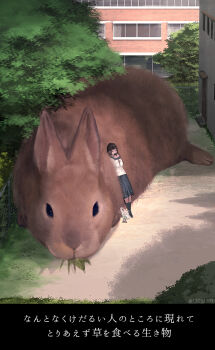  1girl animal bag black_hair black_thighhighs blue_sailor_collar blue_skirt building collared_shirt commentary_request door eating fantasy fence fluffy grass highres monokubo original outdoors oversized_animal plastic_bag pleated_skirt rabbit sailor_collar scenery school_uniform serafuku shirt skirt thighhighs translation_request tree white_shirt window 