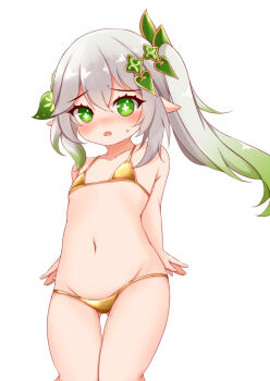  +_+ 1girl arms_at_sides ayatori_(aytr) bikini blush collarbone elf embarrassed eyebrows_hidden_by_hair eyelashes feet_out_of_frame female_focus flat_chest from_below genshin_impact gold_bikini green_hair grey_hair loli long_hair looking_at_viewer looking_down mihoyo multicolored_hair nahida_(genshin_impact) navel nervous no_nose open_mouth pointy_ears side_ponytail simple_background solo standing streaked_hair swimsuit two-tone_hair variant_set white_background 