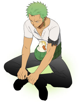  1boy animal animalization bandana bandana_around_neck bird black_bandana black_pants closed_mouth curly_eyebrows duck frown green_hair haramaki looking_down male_focus medium_sideburns one_piece p5naq_pv pants roronoa_zoro sanji_(one_piece) shirt shoes short_hair short_sleeves sideburns simple_background sitting white_background white_shirt 
