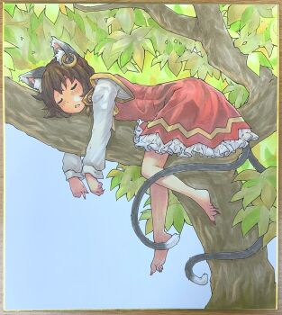  1girl absurdres animal_ear_fluff animal_ear_piercing animal_ears barefoot brown_hair cat_ears cat_girl cat_tail chagamaka chen closed_eyes dress feet frilled_dress frills full_body highres leaf lying multiple_tails on_branch red_dress sleeping solo tail toes touhou traditional_media tree 