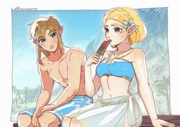 1boy 1girl adapted_costume arm_support artist_name bikini blonde_hair blue_bikini blue_eyes blue_flower blue_male_swimwear blue_shorts blue_sky border braid breasts commentary crown_braid english_commentary flower food green_eyes hair_flower hair_ornament holding holding_food holding_popsicle licking link male_swimwear medium_breasts navel nintendo popsicle princess_zelda sarong short_hair shorts silent_princess sitting sky swimsuit the_legend_of_zelda the_legend_of_zelda:_tears_of_the_kingdom topless_male white_border white_sarong wildstar69 rating:Sensitive score:14 user:danbooru
