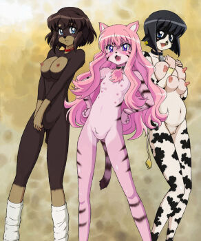  animal_ears artist_request blue_eyes breasts collar flat_chest furry henrietta_de_tristain highres loli louise_francoise_le_blanc_de_la_valliere extra_breasts nipples nude photoshop pink_hair pussy siesta smile tail transformation zero_no_tsukaima  rating:Questionable score:105 user:asdfgh123