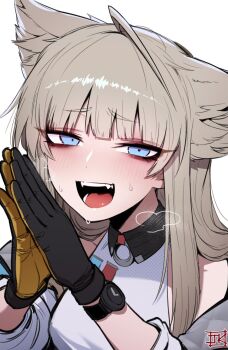  1girl arknights arknights:_endfield bags_under_eyes bare_shoulders black_gloves blue_eyes blush commentary english_commentary fangs gloves grey_hair head_wings highres j.k. jacket long_hair looking_at_viewer multicolored_gloves off_shoulder open_mouth palms_together perlica_(arknights) simple_background solo two-tone_gloves upper_body watch white_background white_jacket wings wristwatch yellow_gloves  rating:General score:4 user:danbooru