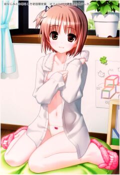  00s 1girl blush bow bow_panties brown_eyes cloud clover collarbone curtains cushion flip-flops flower_pot four-leaf_clover hair_ribbon highres hiide loli long_hair long_sleeves looking_at_viewer navel nekomiya_nono nipples open_clothes open_shirt panties pink_footwear plant ponytail poster_(medium) ribbon sandals shirt side_ponytail sitting sky smile towel towel_around_neck underwear wall white_panties white_shirt window yotsunoha  rating:Questionable score:25 user:loli_and_pee