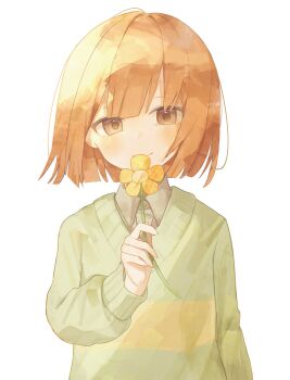  1other arm_at_side blunt_bangs brown_eyes brown_hair chara_(undertale) collared_shirt commentary_request flower green_sweater grey_shirt head_tilt highres holding holding_flower long_sleeves r_ianna shirt shirt_under_sweater short_hair smile sweater undertale utdr_(toby_fox) white_background yellow_flower 