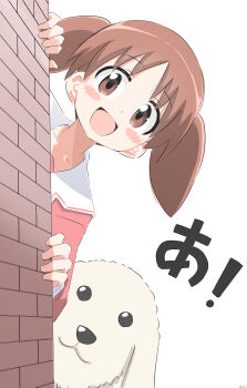  1girl absurdres animal azumanga_daioh's_school_uniform azumanga_daiou blush blush_stickers brown_eyes brown_hair commentary_request cynical_(llcbluckg_c004) dog highres long_sleeves looking_at_viewer mihama_chiyo school_uniform short_hair simple_background solo tadakichi-san twintails upper_body white_background 