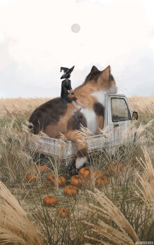  1girl animal artist_name barefoot black_hair black_robe calico_(pattern) calico_cat cat cloud cloudy_sky commentary_request field halloween halloween_bucket hat monokubo motor_vehicle original oversized_animal pickup_truck planet pumpkin robe scenery sitting sky trick_or_treat truck witch_hat 