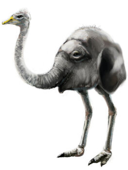  beak bird black_eyes byte_(grunty-hag1) check_commentary chimera clawed_feet claws colored_skin commentary commentary_request elephant feathers grey_skin monster mother_(series) mother_3 nintendo no_humans ostrelephant ostrich realistic simple_background solo standing what white_background white_feathers  rating:General score:1 user:danbooru