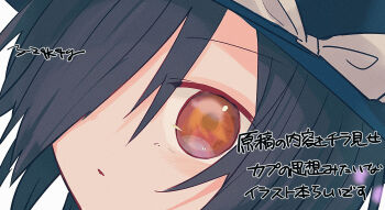  2girls black_hair black_hat bow brown_eyes close-up commentary_request dress eye_reflection hair_over_one_eye hat hat_bow highres maribel_hearn mob_cap multiple_girls one_eye_covered parted_lips portrait purple_dress reflection signature solo_focus touhou translation_request usami_renko white_hair yatsushiki_shigi 