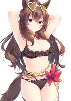  1girl absurdres animal_ears armpits arms_behind_head bikini black_bikini blue_eyes blush breasts brown-tinted_eyewear brown_hair cleavage closed_mouth commentary_request eyewear_on_head flower hair_between_eyes heart heart-shaped_eyewear highres horse_ears horse_girl horse_tail jewelry kanzakietc large_breasts long_hair looking_at_viewer maruzensky_(hot_summer_night)_(umamusume) maruzensky_(umamusume) navel official_alternate_costume ponytail ruffle_bikini simple_background smile solo stomach sunglasses swimsuit tail tinted_eyewear umamusume white-framed_eyewear white_background 