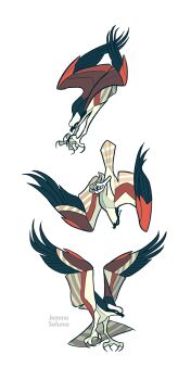  animal animal_focus artist_name beak bird commentary english_commentary hawk highres jemma multiple_views no_humans original simple_background talons white_background wings 