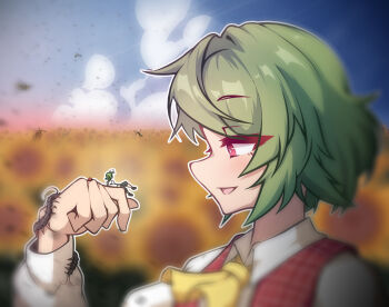  2girls alternate_body_size ascot bee blue_sky blurry blurry_background blush bug centipede collared_shirt commentary_request day field flower flower_field garden_of_the_sun green_hair highres insect kazami_yuuka ladybug long_sleeves mini_person minigirl multiple_girls open_mouth outdoors plaid_clothes plaid_vest profile red_eyes red_vest rownou shirt short_hair sky smile sunflower sunflower_field touhou upper_body vest white_shirt wriggle_nightbug yellow_ascot yellow_flower 