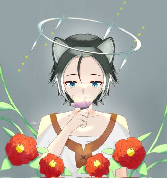  1girl animal_ears black_hair blue_eyes brown_shirt bug butterfly butterfly_on_hand character_name chest_sarashi collarbone colored_tips commentary corrupted_twitter_file dog_ears dog_girl flower flower_request grey_background grey_hair grey_halo halo hand_up highres insect itzkieel keel_(tate_no_yuusha_no_nariagari) looking_at_animal looking_down messy_hair multicolored_hair red_flower red_rose reverse_trap rose sarashi shirt short_hair solo sparkle standing tate_no_yuusha_no_nariagari two-tone_hair untranslatable_commentary upper_body white_trim 