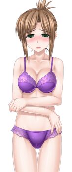  1girl blush bra breasts brown_hair cleavage crossed_arms folded_ponytail game_cg green_eyes higuchi_isami kusunoki_misako large_breasts large_variant_set lingerie looking_at_viewer mahou_shoujo_sae navel non-web_source official_art open_mouth panties purple_bra purple_panties short_hair solo thigh_gap transparent_background underwear underwear_only variant_set 