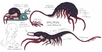  animal animal_focus arthropod body_fur bug creature fraid highres jejejunum mandibles molpede nervous_sweating no_humans original red_eyes reference_sheet smile sweat white_background white_fur white_tail 