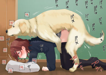 bestiality blush dog doggystyle floor higuchi_madoka idolmaster idolmaster_shiny_colors interspecies kneeling long_sleeves pillow red_hair sex sex_from_behind shadow socks thighhighs tsurugi_(the_horizon) wall rating:Explicit score:692 user:Warbox