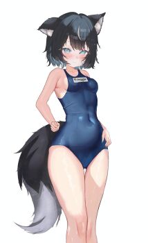  1girl animal_ears belly black_hair blue_eyes blush blush_stickers breasts closed_mouth commission dog_ears dog_girl dog_tail fangsie_fido hat highres looking_at_viewer naechiee name_tag navel one-piece_swimsuit school_swimsuit small_breasts smile solo standing swimsuit tail variance_project virtual_youtuber white_background 